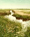 Landscape Etchings by Jan Dingle - Tranquility