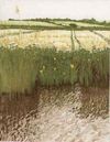 Quiet Tracks - Original Landscape Echings by Jan Dingle
